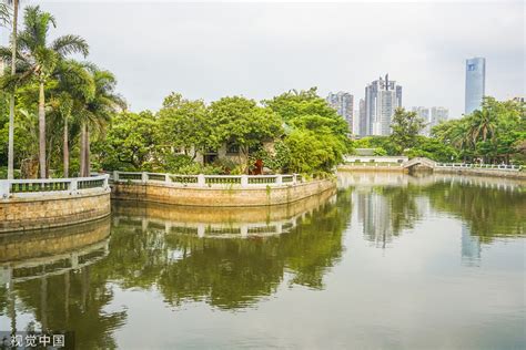 廈門哪個公園比較大：探索廈門的綠色空間與大型公園